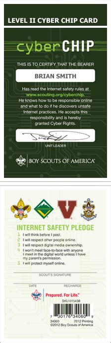 Cyber Chip Requirements .